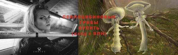 синтетический гашиш Ельня