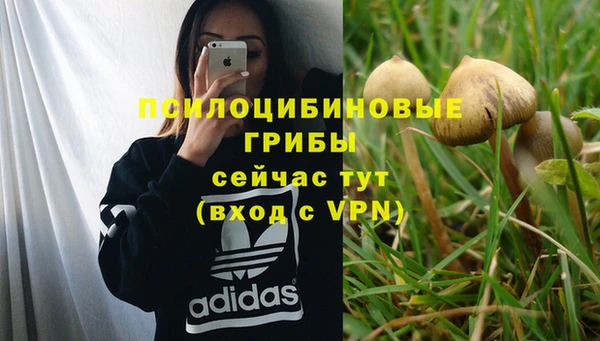 гидропоника Елизово