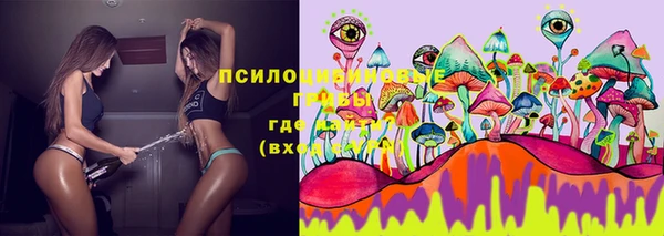 синтетический гашиш Ельня